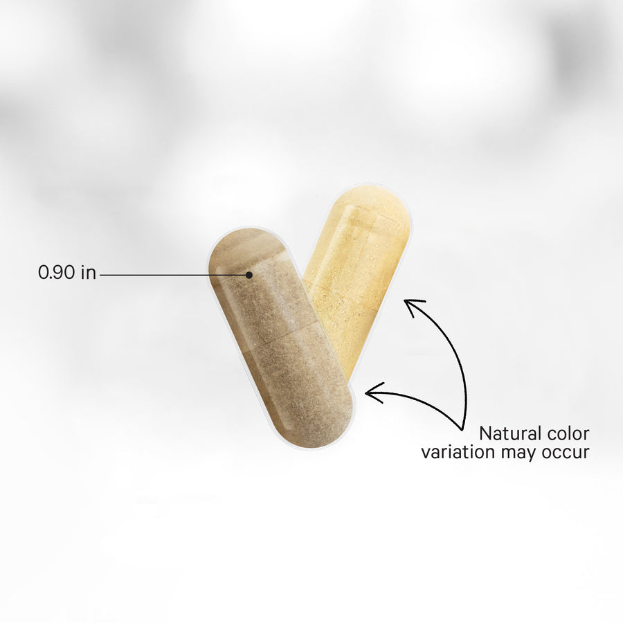 Codeage Women's Fermented Multivitamin Capsules Supplement Vitamins