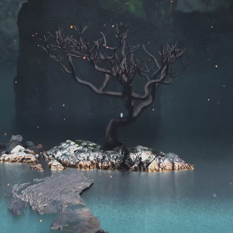 Codeage Akkermansia Muciniphila 500 Million AFU Probiotic Chicory Inulin Supplement Prebiotic Chicory Root Fiber