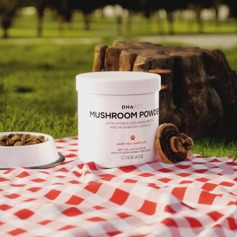 DNA PET Mushroom Powder supplement for dogs with bone broth powder