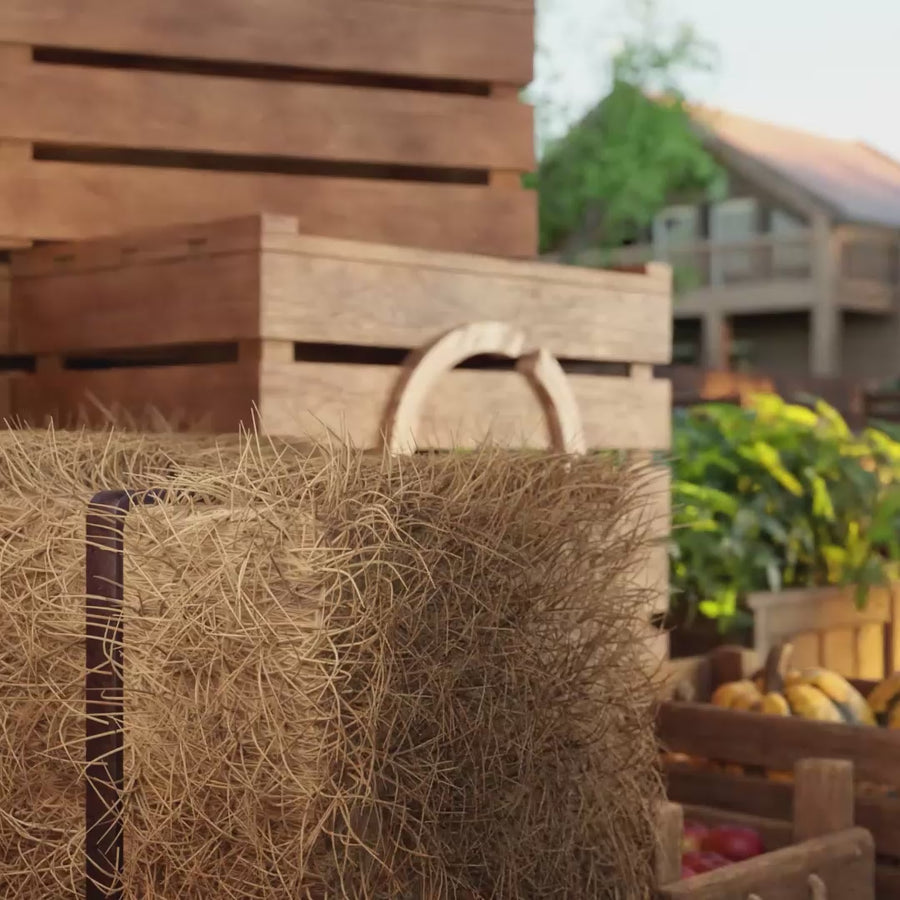 Codeage Beef Cartilage Supplement, Grass Fed Pasture Raised Bovine Liver Capsules