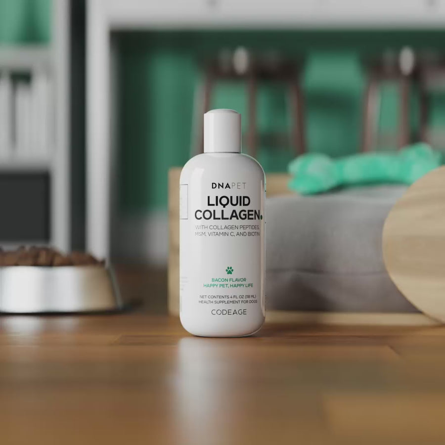 DNA PET Liquid Collagen supplement for dogs