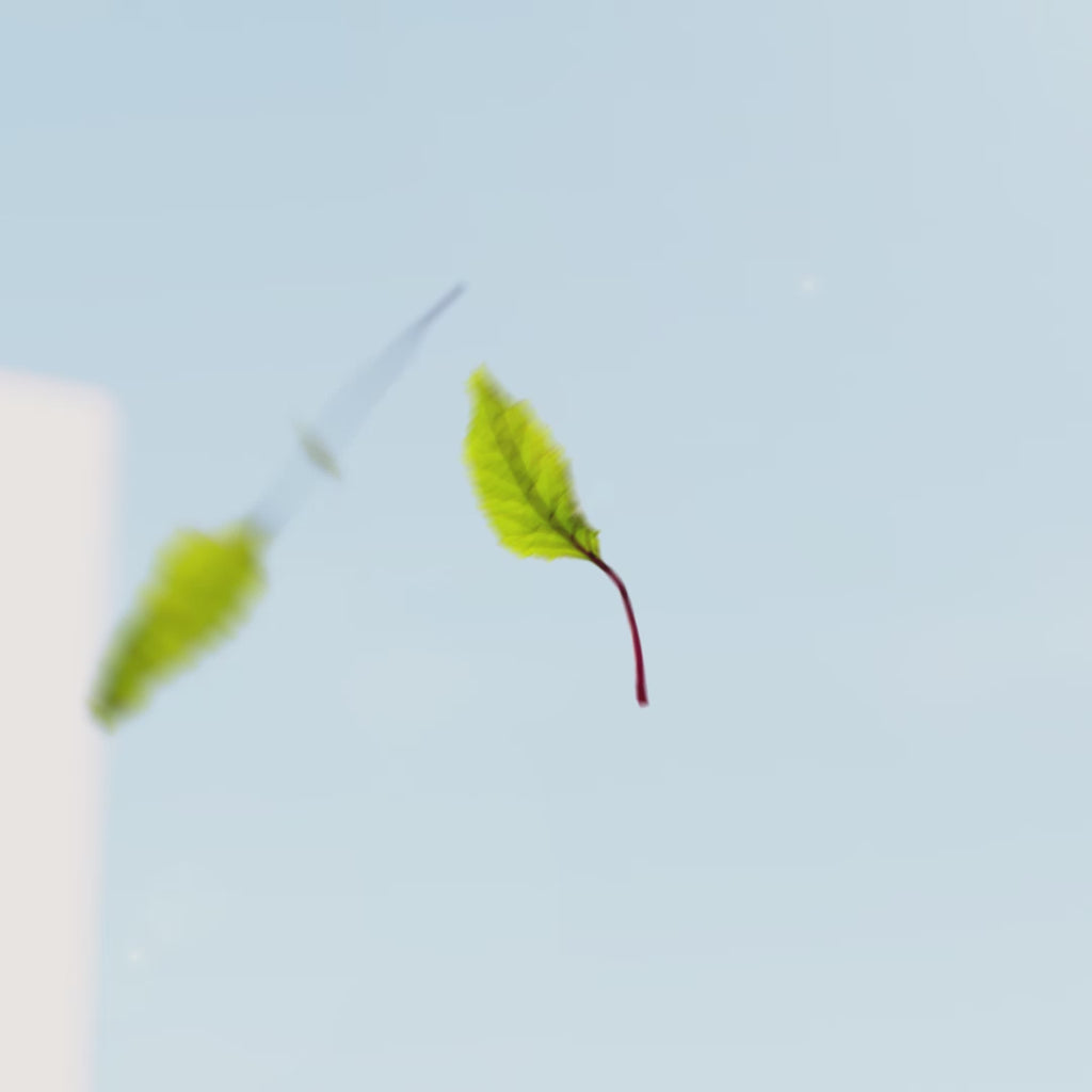 Codeage L-Methylfolate 5-MTHF+ folate complex Vitamin B9, B12, B6 P5P, methylated vitamins. 