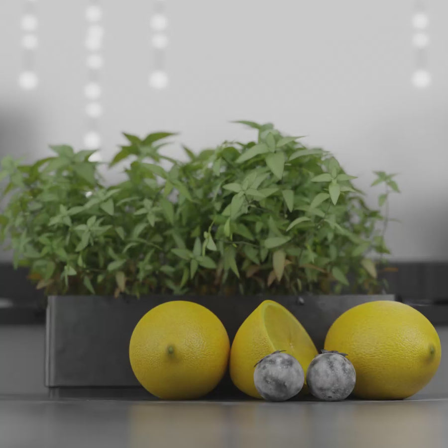 Amen Vegan Collagen Supplement Biotin Vitamin C Capsules supplement 