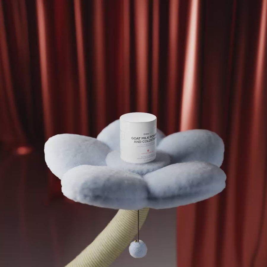 DNA PET Goat Milk & Colostrum Powder canine supplement 