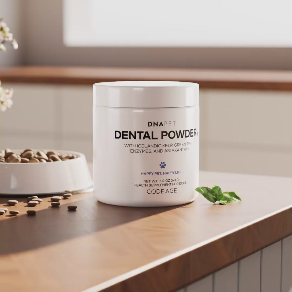 DNA PET Dental Powder for dogs with icelandic kelp, mint-flavored