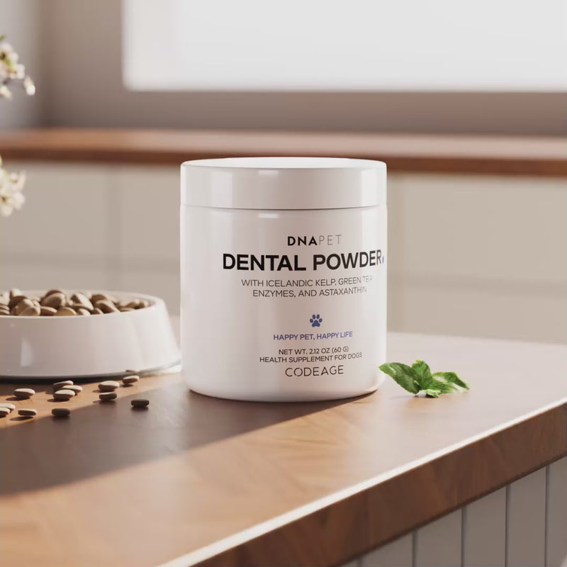 DNA PET Dental Powder for dogs with icelandic kelp, mint-flavored