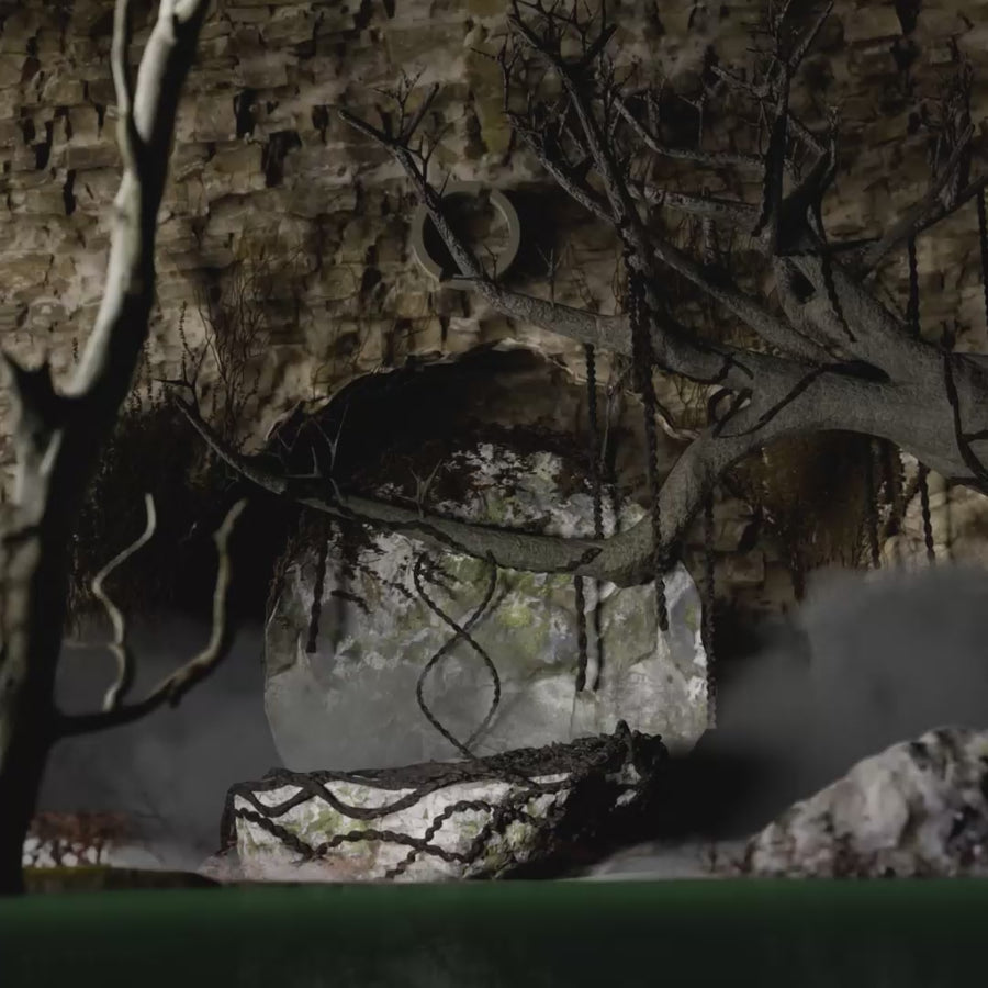 Codeage B Complex Vitamins Supplement Formula