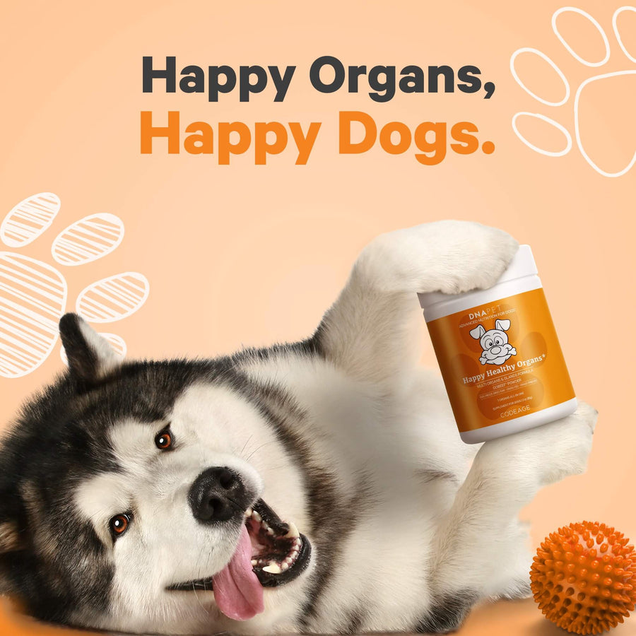 DNA PET Happy Healthy Organs Dogs Supplement dog bovine sources